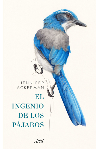 El ingenio de los pájaros (libro + cuaderno de abservación)