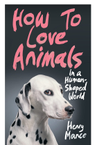 How to Love Animals: In a Human-Shaped World