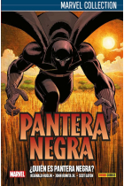 PANTERA NEGRA DE HUDKIN 01: ¿QUIEN ES PANTERA NEGRA?