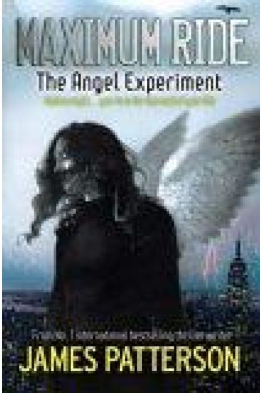 Maximum ride:  the angel experiment