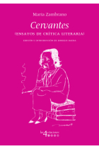 Cervantes: ensayos de crítica literaria