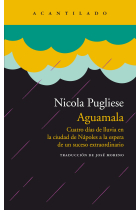 Aguamala. Cuatro días de lluvia en la ciudad de Nápoles a la espera de un suceso