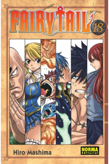 Fairy Tail 18