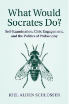 What would Socrates do? Self-examination, civic engagement, and the politics of philosophy