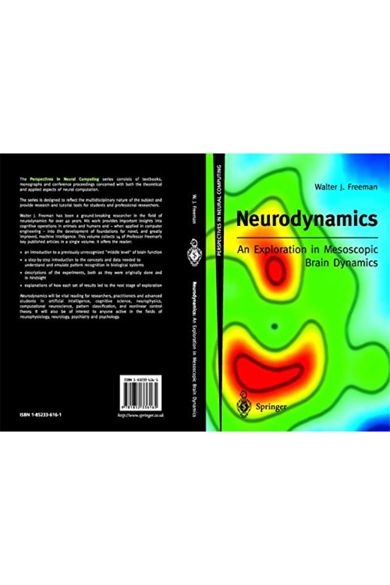 Neurodynamics: An Exploration in Mesoscopic Brain Dynamics