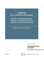 Derecho de la Protección Social (Papel + e-book)