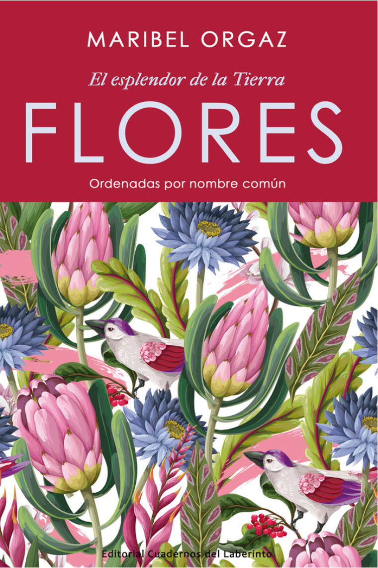 FLORES EL ESPLENDOR DE LA TIERRA