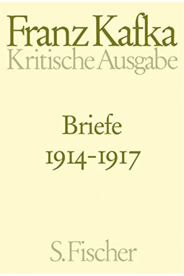 Briefe 1914 - 1917: Kritische Ausgabe