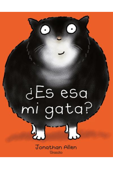 ¿Es esa mi gata?