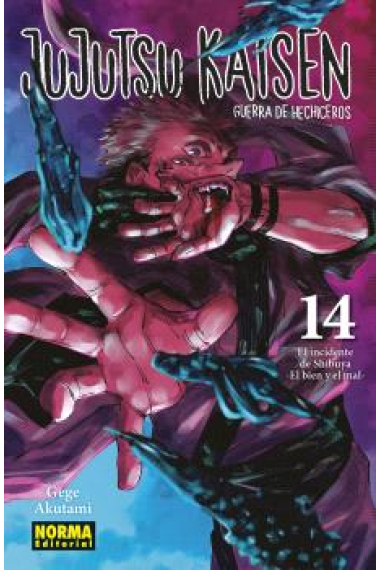 Jujutsu Kaisen 14