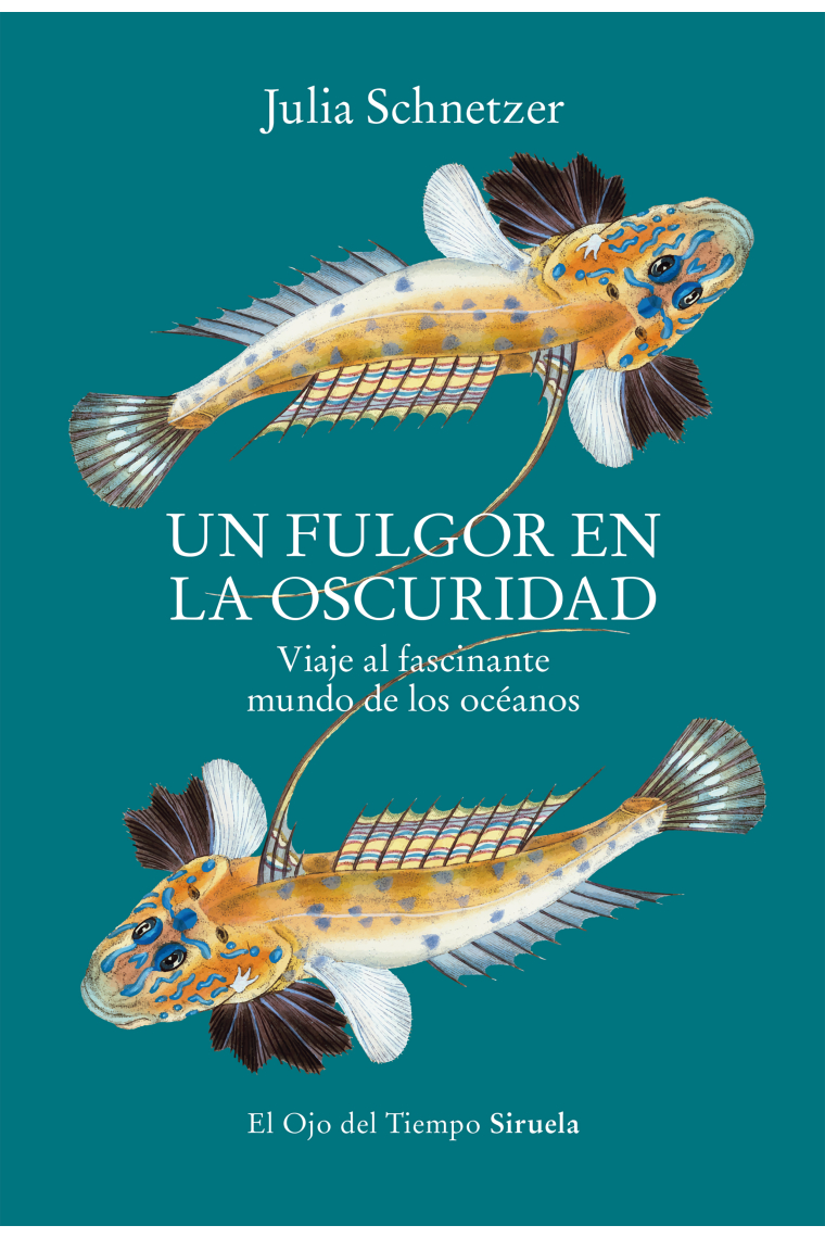 Un fulgor en la oscuridad. Viaje al fascinante mundo de los océanos