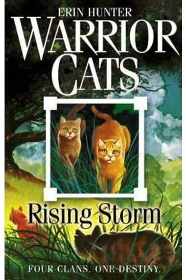 Rising Storm: FOUR CLANS. ONE DESTINY. (Warrior Cats, Book 4)