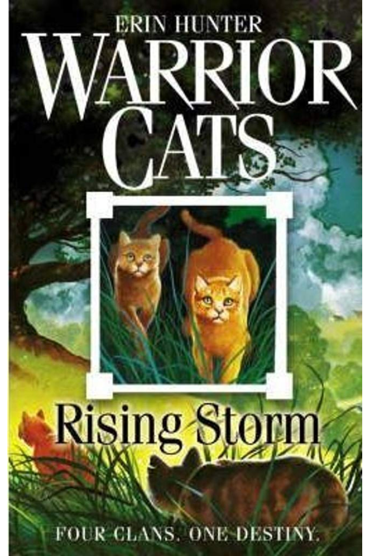 Rising Storm: FOUR CLANS. ONE DESTINY. (Warrior Cats, Book 4)