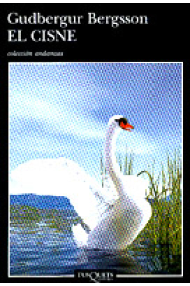 El cisne