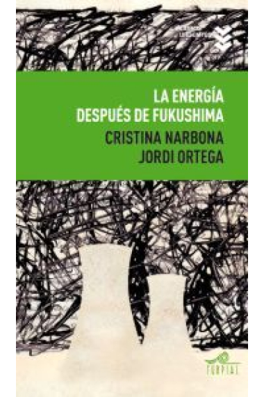 La energía después de Fukushima