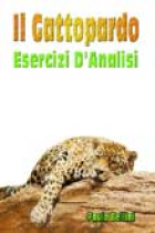 Il Gattopardo: Esercizi d'Analisi