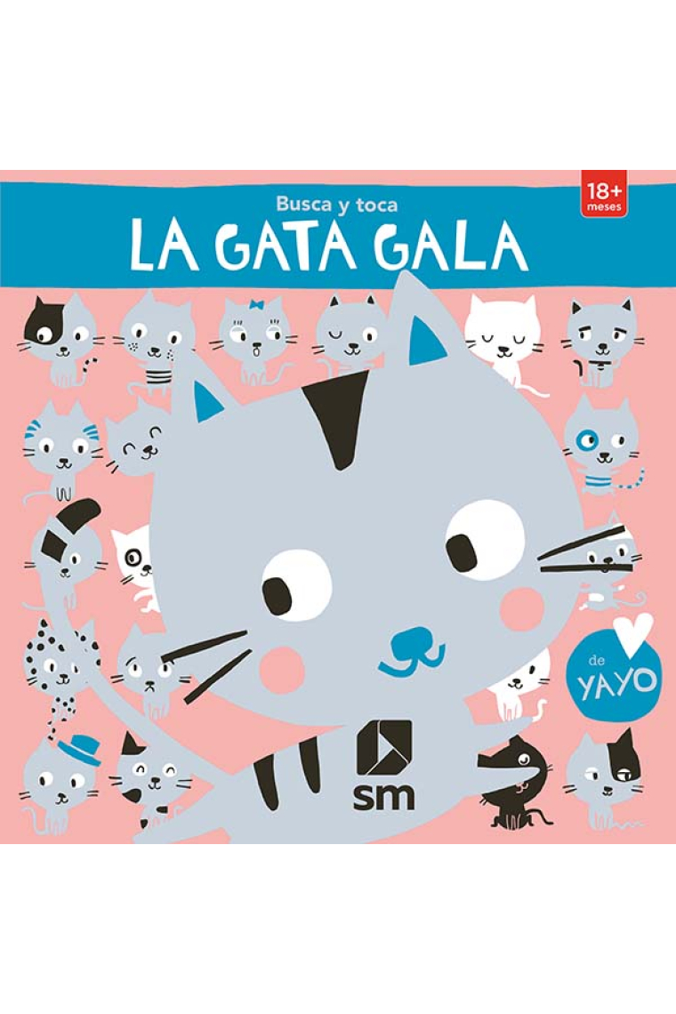 Busca y Toca. La gata Gala