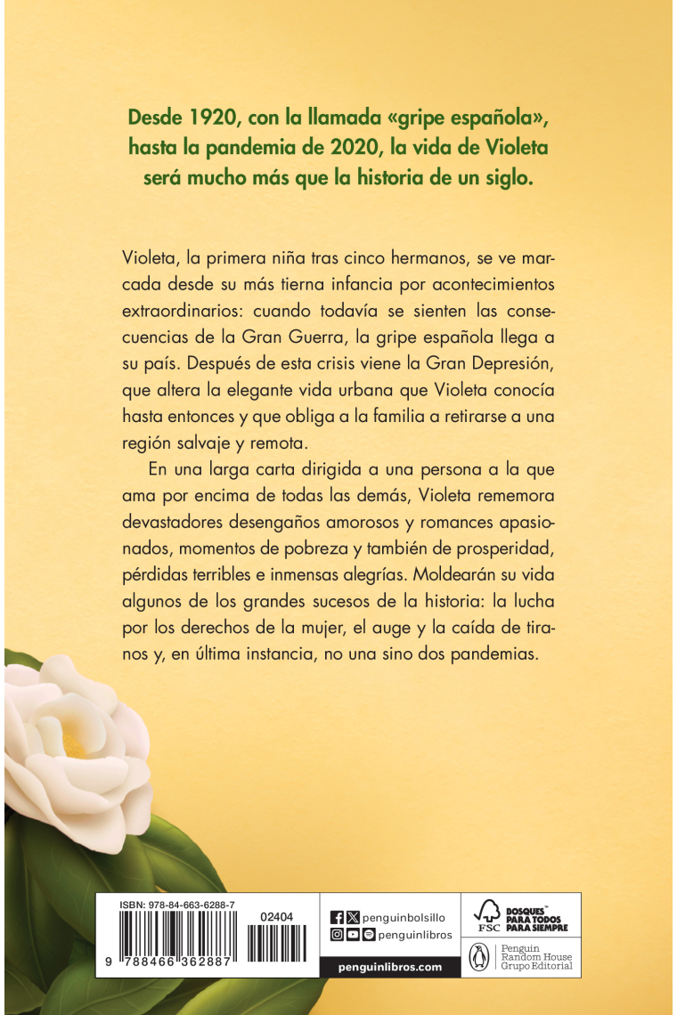 Violeta