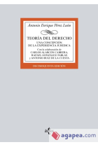 Teoría del Derecho. Una concepción de la experiencia jurídica