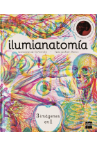 Ilumianatomía