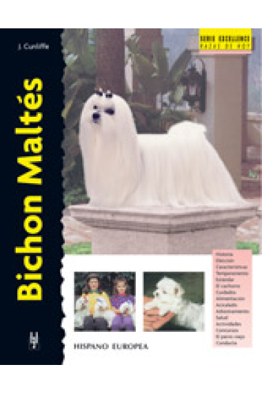 Bichon Maltés