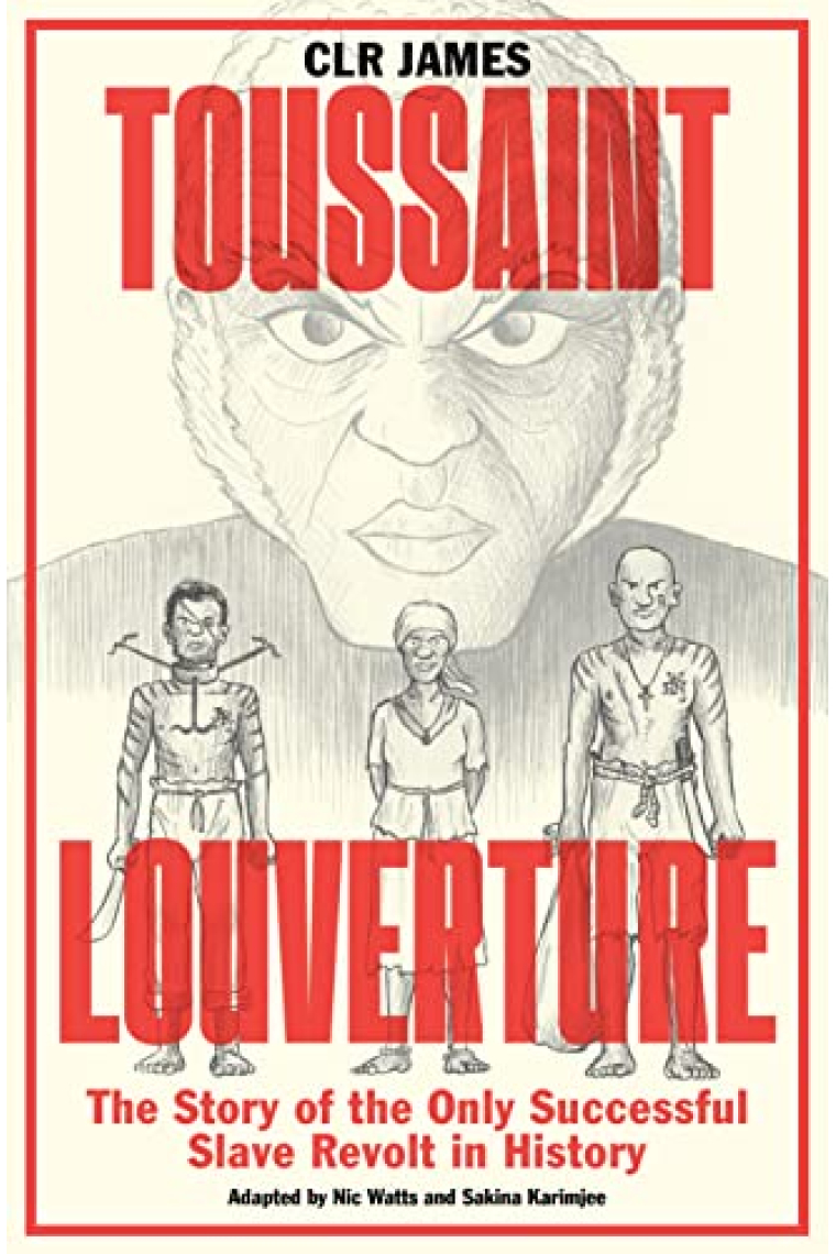 Toussaint Louverture: The Story of the Only Successful Slave Revolt in History