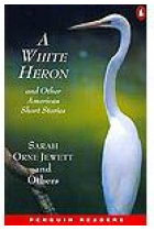 A white heron  (PR-2). Elementary