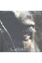 Caballos- Cube