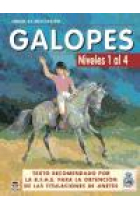 Curso de equitación. Galopes. Niveles 1 al 4