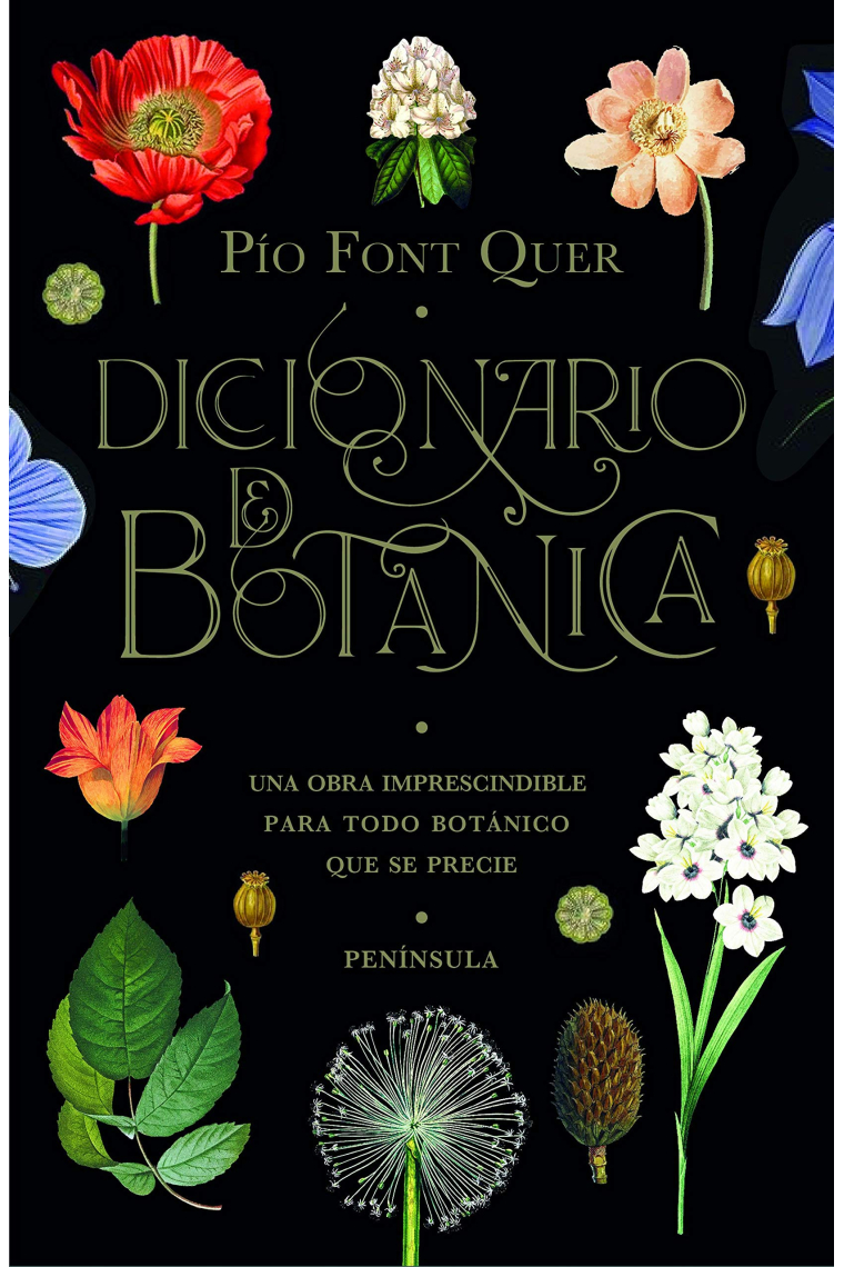 Diccionario de botánica