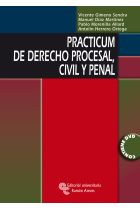 Practicum de derecho procesal, civil y penal