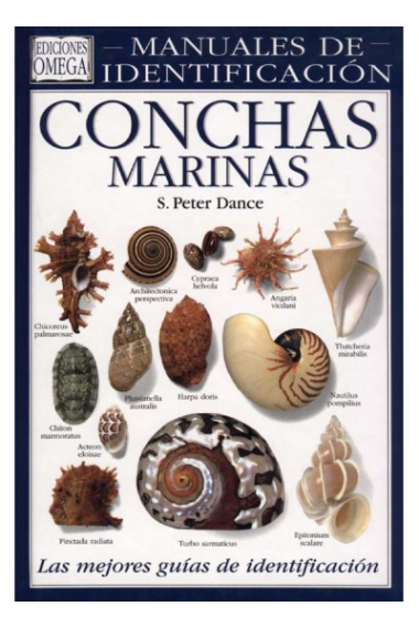 Conchas marinas. Una guía visual.