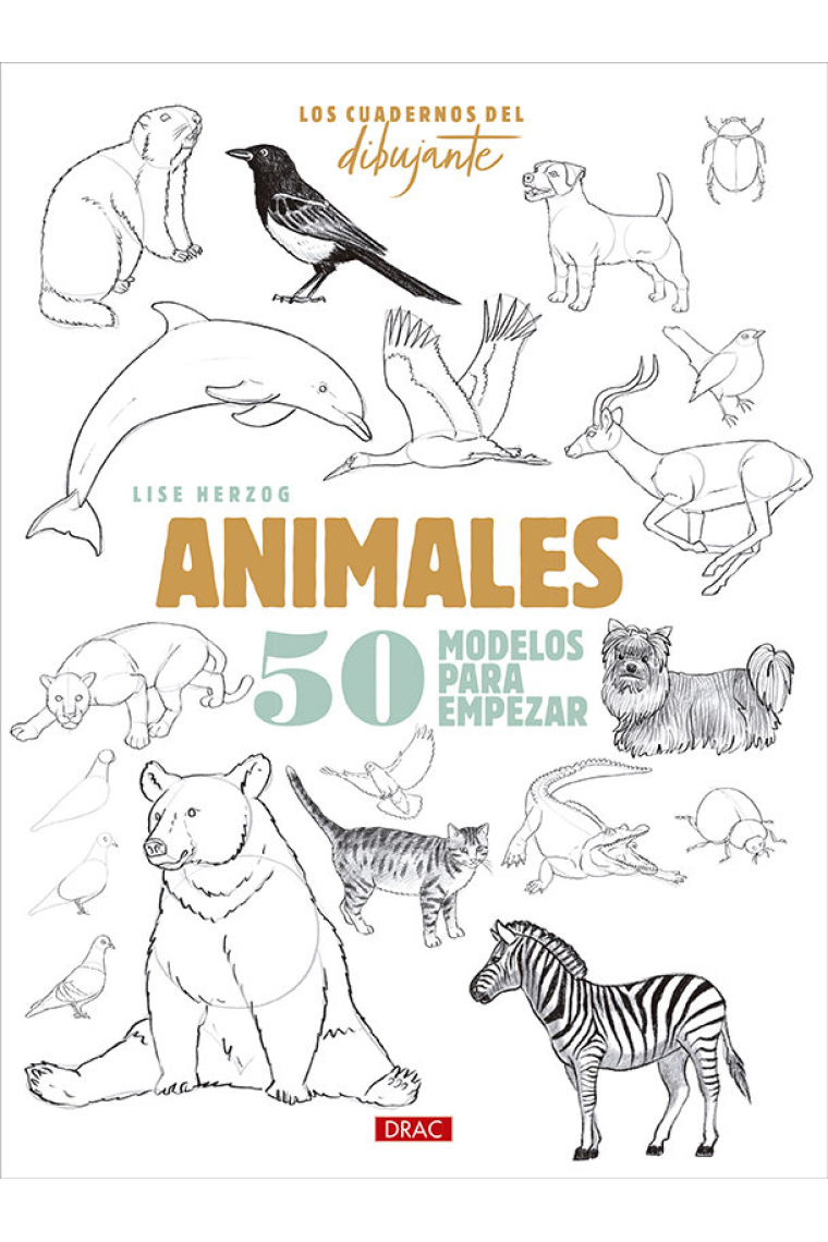 Los cuadernos del dibujante. Animales. 50 modelos para empezar