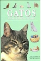 Gatos. Razas,cuidados, historia