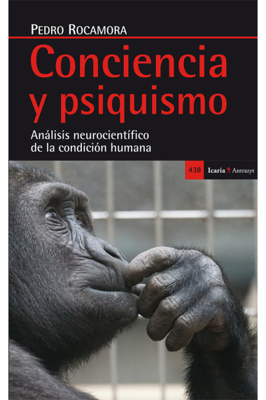 Conciencia y psiquismo