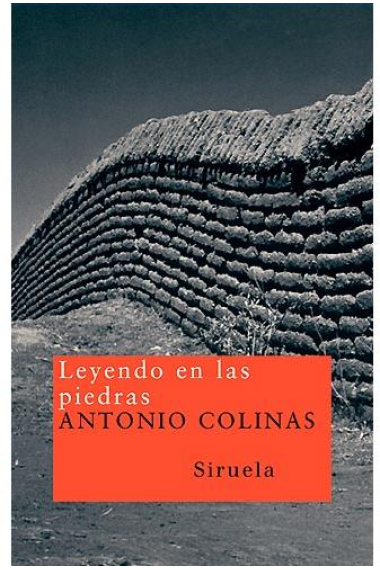 Leyendo en las piedras