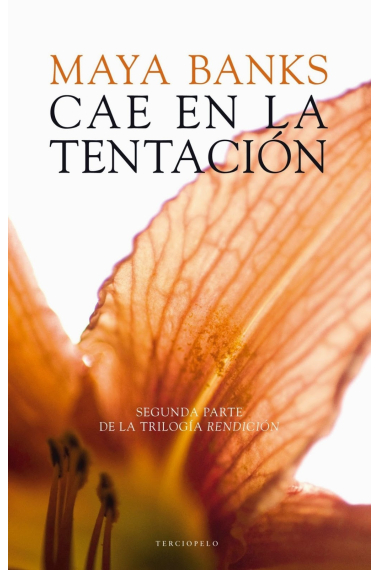 Cae en la tentación (Trilogía Rendición II)