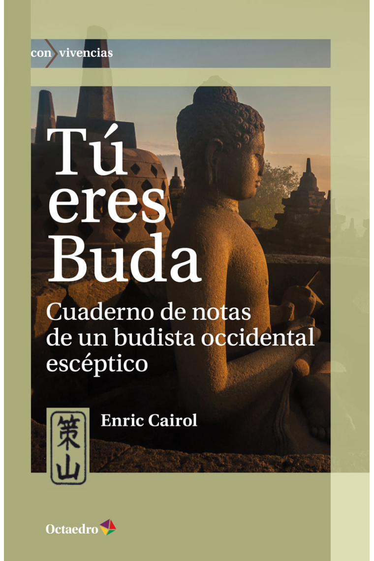 Tú eres Buda. Cuaderno de notas de un budista occidental escéptico