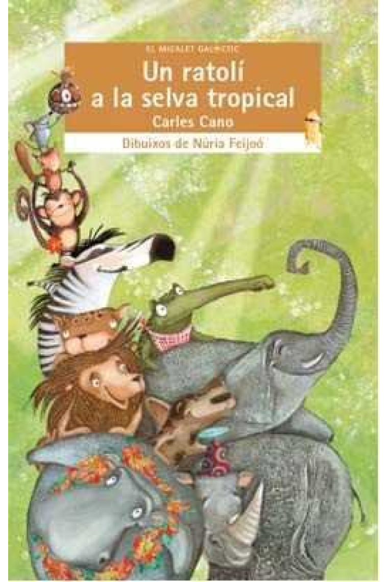 Ratolí a la selva tropical