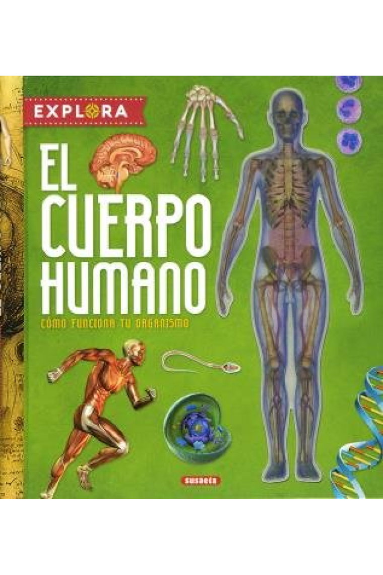 El cuerpo humano