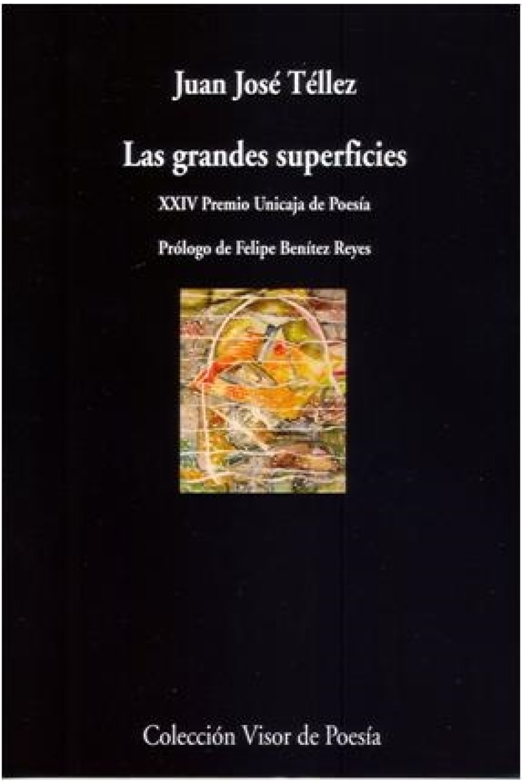 Las grandes superficies (XXIV Premi Unicaja de Poesía)