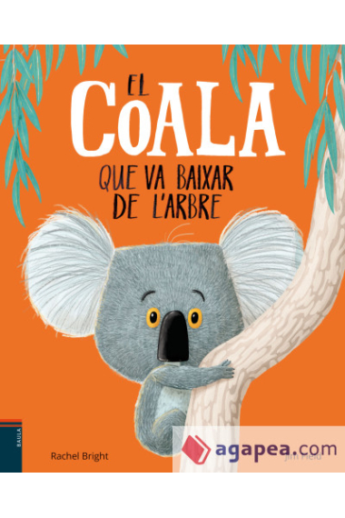 El coala que va baixar de l'arbre