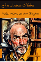 Desventuras de don Quijote