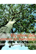 Els arbres dels carrers de Barcelona