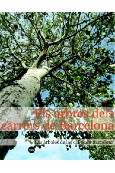 Els arbres dels carrers de Barcelona