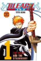 Bleach 1 (català)