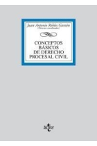 Conceptos básicos de derecho procesal civil