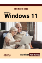 Windows 11