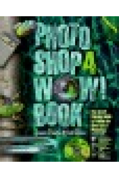 The Photoshp 4 wow! book