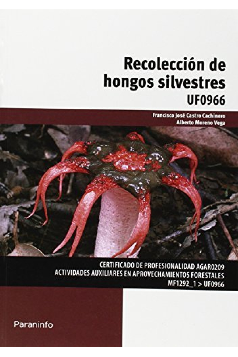 Recolección de hongos silvestres